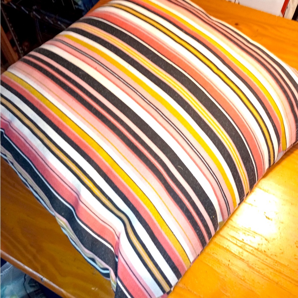 BNWT Striped throw pillow…Very cute!